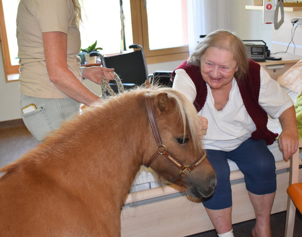 Ponybesuch