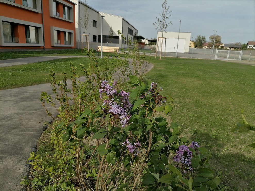 Garten