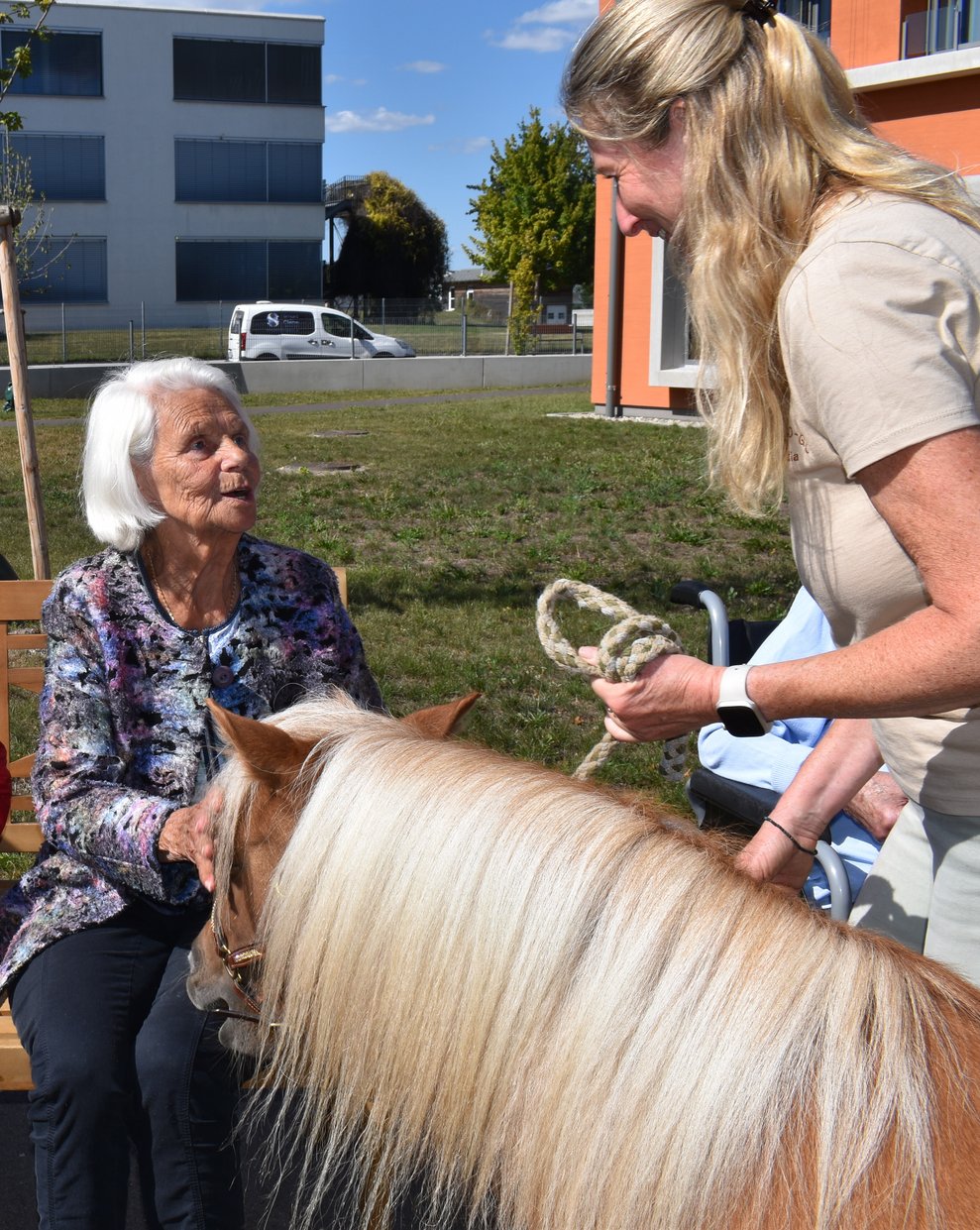 Ponybesuch