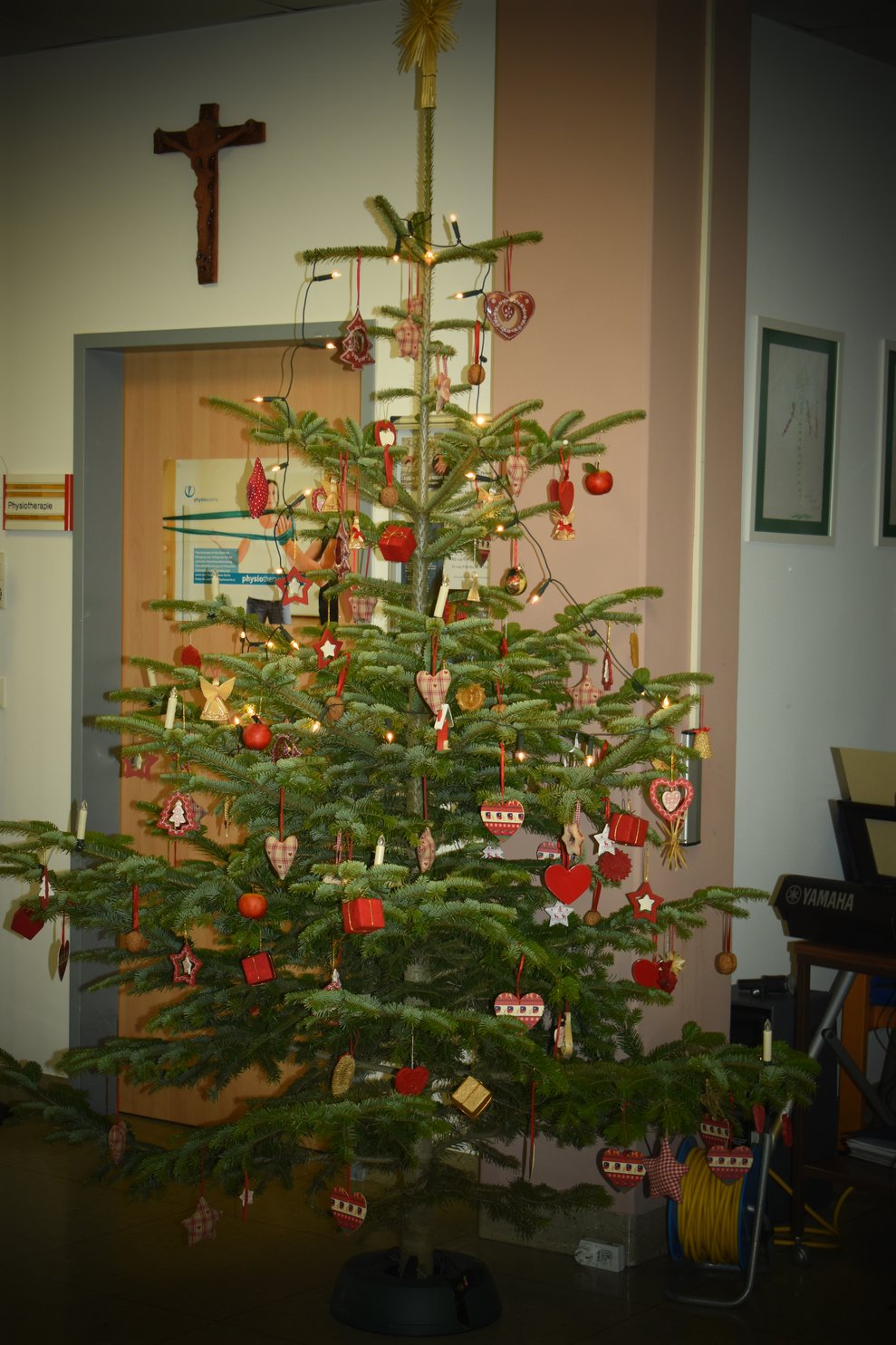Oh Tannenbaum...